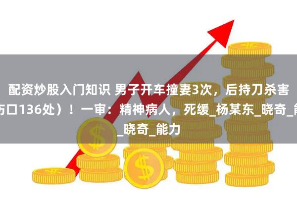 配资炒股入门知识 男子开车撞妻3次，后持刀杀害（伤口136处）！一审：精神病人，死缓_杨某东_晓奇_能力